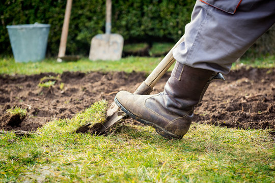 Man using spade for old lawn digging