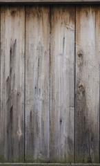 Obraz premium old planks background for your site