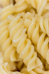 Close macro shot of italian macaroni