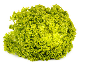 Fototapeta premium Green salad isolated