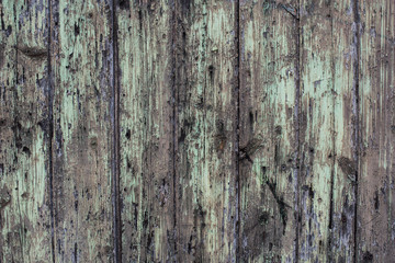 old green paint on rotten wood