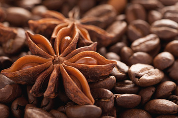 Star anise with coffee beans closeup macro shot