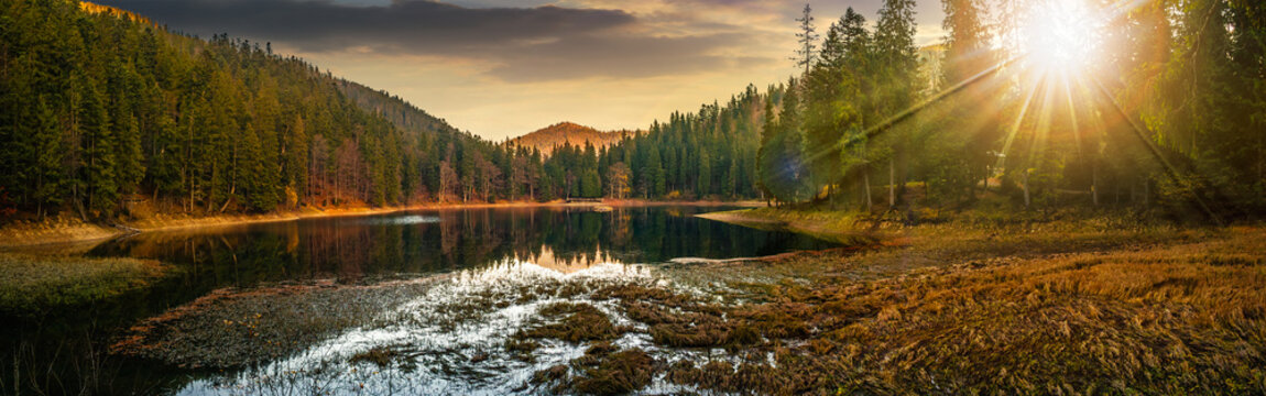 panorama of crystal clear lake near the pine forest in  mountains at sunset