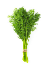 bunch of dill on white background