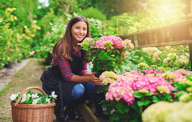 Happy young gardener selecting hydrangea plants