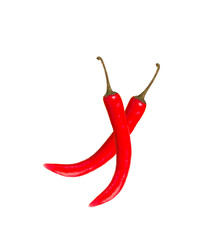 red chilly pepper isolated on the white background