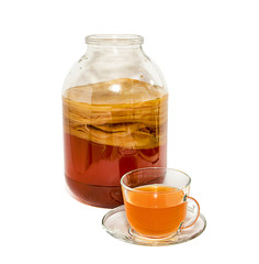 home Kombucha mushroom in a cup