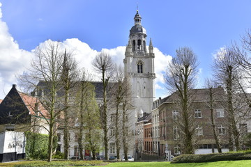 Fototapeta premium La basilique St-Martin vue depuis le parc Mariahof à Hal 