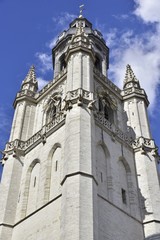 Fototapeta na wymiar L'imposant clocher récemment restaurée de la basilique de Hal en Brabant flamand