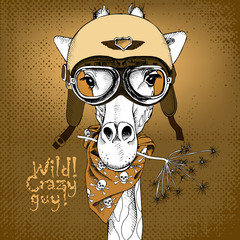 The poster with the portrait of the giraffe wearing the motorcycle helmet. Vector illustration.