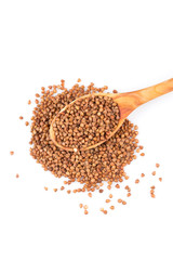 Uncooked buckwheat on wooden spoon