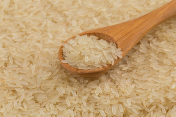Rice in spoon