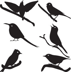 Bird Silhouettes, bird on branch, vector collection