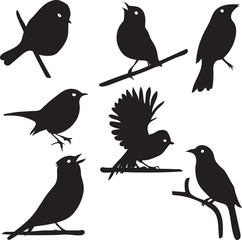 Bird Silhouettes, bird on branch, vector collection