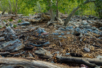 Marvel at the Natural Wonders of Sedona Arizona USA
