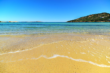 golden shore in Cala Battistoni