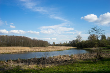 Panorama of Loshitsa Park in Minsk
