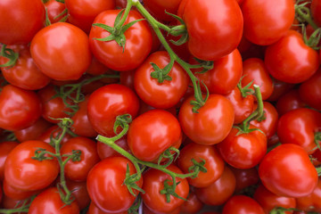 fresh tomatoes. red tomatoes background. Group of tomatoes