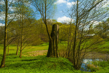 Leśny Park Kultury i Wypoczynku w Bydgoszczy, Myślęcinek, Bydgoszcz, Polska, Europa © DawidDobosz