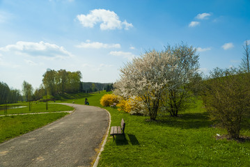 Leśny Park Kultury i Wypoczynku w Bydgoszczy, Myślęcinek, Bydgoszcz, Polska, Europa © DawidDobosz