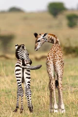Vlies Fototapete Giraffe Freunde in der Serengeti