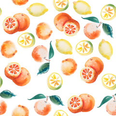 watercolor drawing set of tropical fruits, citrus aquarelle painting on white background
