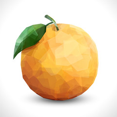 Realistic unusual polygonal isolated  Orange fruit. Modern vector editable template.