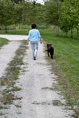 Woman walking down a lane with a chocolate Labrador Retriever.