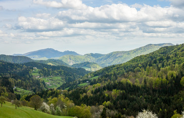 Naklejka na ściany i meble Green spring mountains in Slovenia