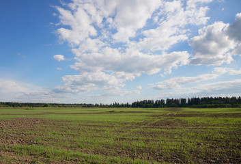  sky with white cloud over green field © pavel_812