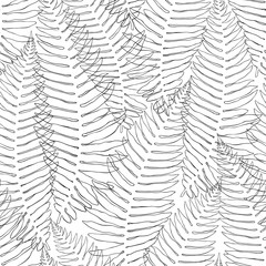 Seamless pattern of fern. Black and white floral background.