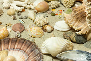 Standgut, Muscheln, Erinnerungen