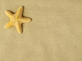 Fototapeta na wymiar Starfishes on sand