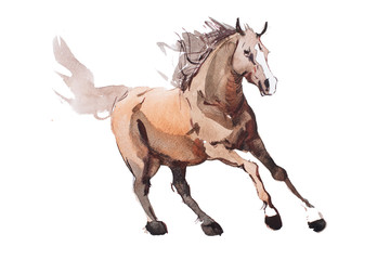 Fototapeta na wymiar watercolor painting of galloping horse, free running mustang aquarelle