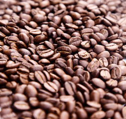 coffee beans