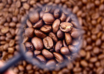 coffee beans