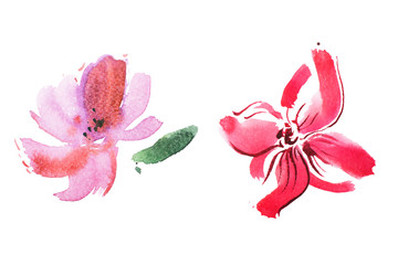 Fototapeta na wymiar watercolor drawing of pink lily, orchid in blossom aquarelle image