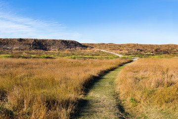Fototapeta premium Countryside natural background. Rural path winds along the field. Crimea, Russia.