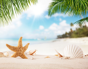 Fototapeta na wymiar Summer sandy beach with blur ocean on background
