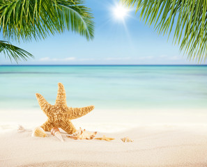 Naklejka na ściany i meble Summer sandy beach with blur ocean on background