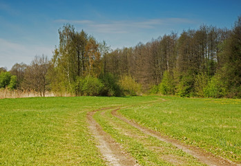 Fototapeta na wymiar The road through the meadow in the spring in April