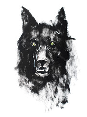 Watercolor drawing of black angry looking wolf. Animal portrait on white background. © undrey