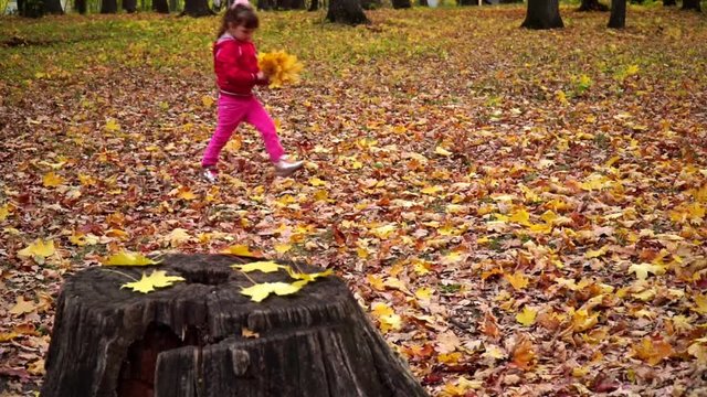 little girl gathering autumn leaves in the park