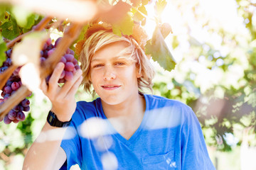 Boy in vineyard