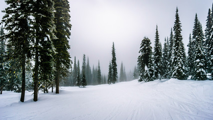Ski slopes in the clouds and fog at Sun Peaks in the Shuswap Highlands in central British Columbia