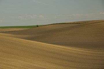 Fototapeta na wymiar arable hills land and sky background