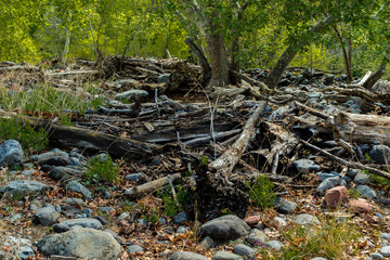 Marvel at the Natural Wonders of Sedona Arizona USA
