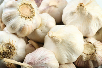 Garlic background