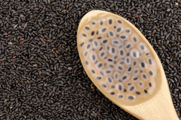 sweet basil seeds