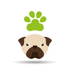 pet care concept design 